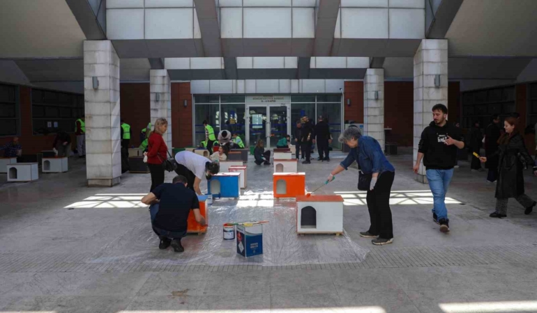 Can dostlara sıcak yuva