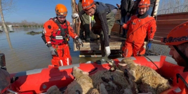 Çiftliklerde mahsur kalan hayvanlar botla kurtarılıyor