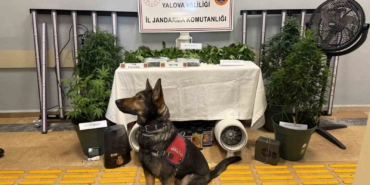 Yalova’da evi uyuşturucu serasına çeviren 2 zanlı tutuklandı