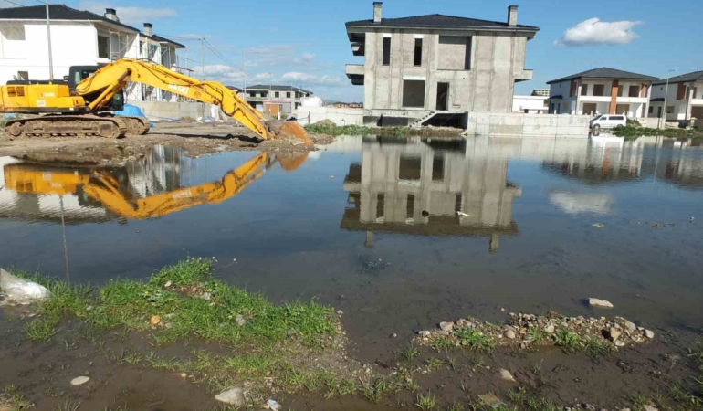 Burhaniye’ de çevre felaketi yaşanıyor