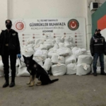 Kapıkule’de rekor yakalama, yaklaşık 1 ton esrar ele geçirildi