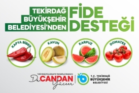 Üreticiye yüzde 70 hibeli fide desteği