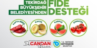 Üreticiye yüzde 70 hibeli fide desteği