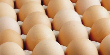 Kişi başına düşen yumurta üretimi 15 adet azaldı