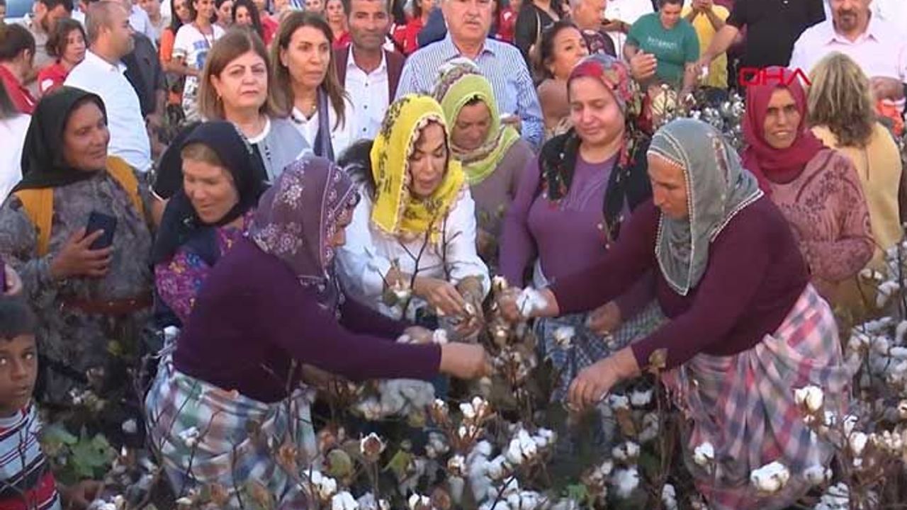 Türk sinema Sultanı Türkan Şoray "set için köyü yaktık, davul zurnayla uğurladılar"