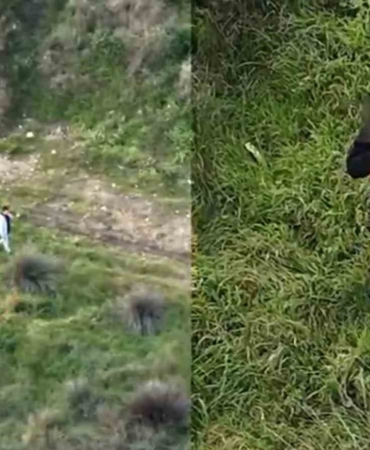 Tuzla’da parkta uyuşturucu alışverişi yapan şüpheli tutuklandı