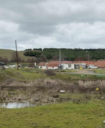 Arnavutköy’de elektrikli testereli saldırı: Çiftlik evinde dehşet