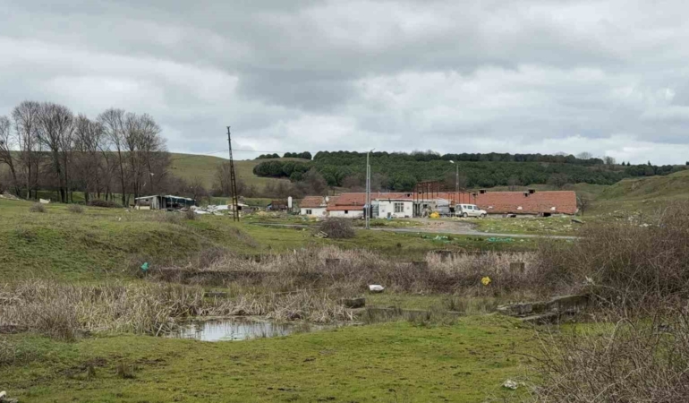Arnavutköy’de elektrikli testereli saldırı: Çiftlik evinde dehşet