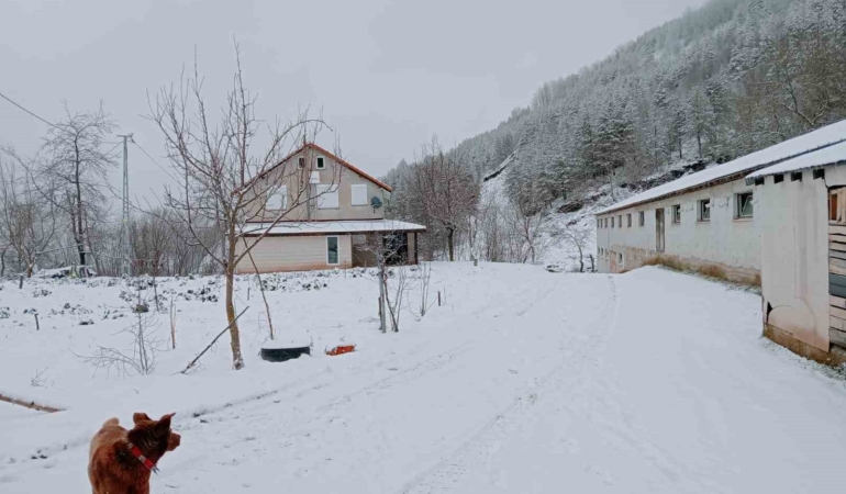 Sakarya’da yüksek kesimlerde kar, şehir merkezinde yağmur etkili oldu