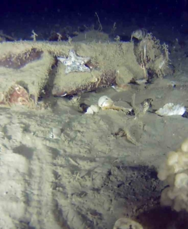 Marmara Denizi’ne 51 yıl önce düşen THY uçağına ait yeni izler bulundu