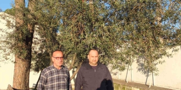 Burhaniye’de yağmurlar zeytincileri sevindirdi