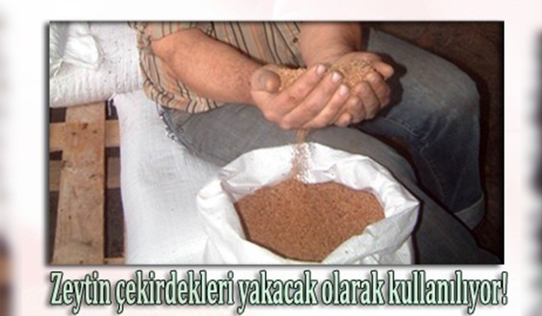 Burhaniye’de zeytin çekirdekleri Yunanistan’a ihraç ediliyor