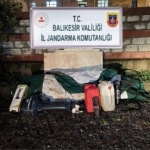 Düzensiz göçmenler zeytinlik alanda yakalandı