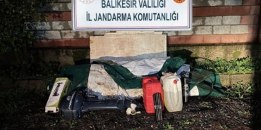 Düzensiz göçmenler zeytinlik alanda yakalandı