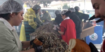 Soğuğa aldırış etmeyen vatandaşlar Balık Festivali’ne koştu