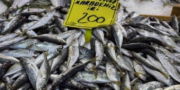 Kocaeli’de balık tezgahlarındaki son durum