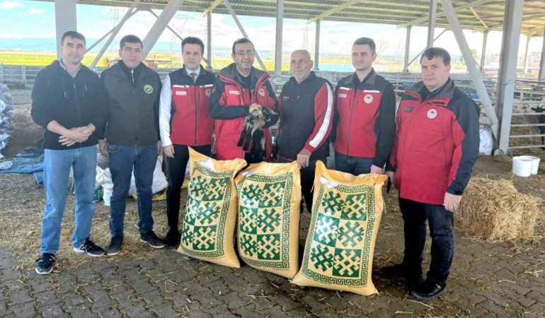 Ezine’de taşkından etkilenen yetiştiricilere yem desteği