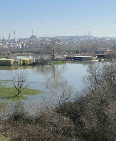 Edirne Yıldırım Mahallesi’nde hayvan çiftlikleri su altında