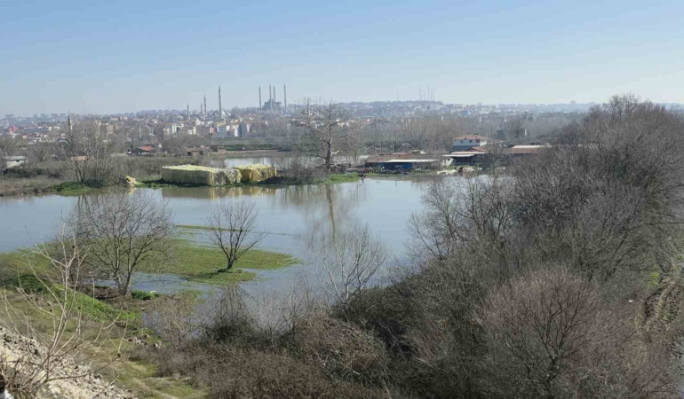 Edirne Yıldırım Mahallesi’nde hayvan çiftlikleri su altında