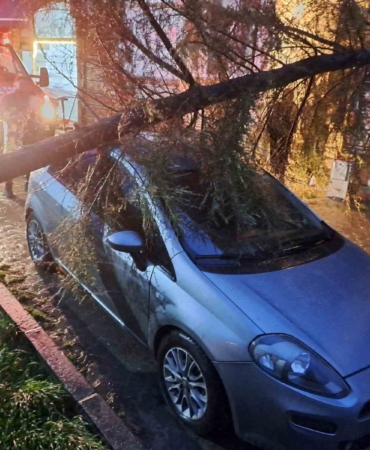 Babaeski’de kuvvetli rüzgarda otomobilin üzerine ağaç devrildi