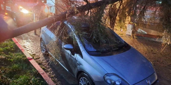 Babaeski’de kuvvetli rüzgarda otomobilin üzerine ağaç devrildi