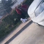 Dilenci kadınların kavgası kamerada: Kucağındaki bebek yere düştü