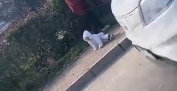 Dilenci kadınların kavgası kamerada: Kucağındaki bebek yere düştü