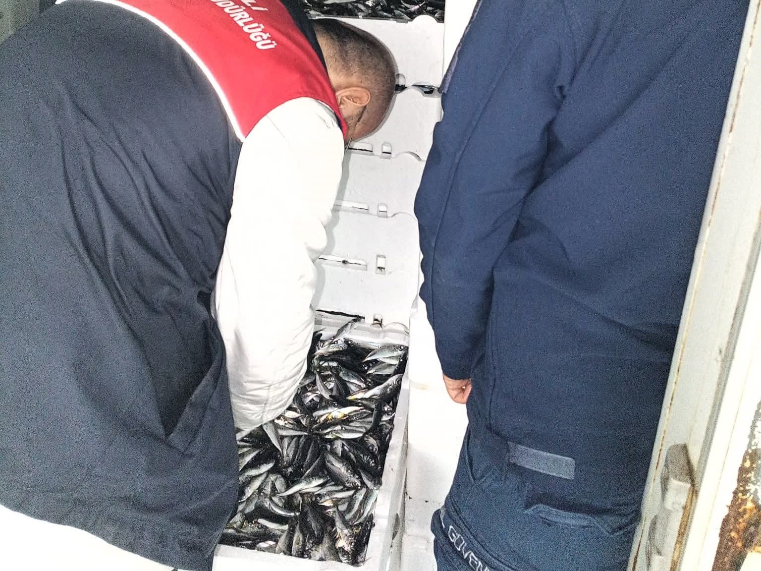 Kırklareli’nde su ürünleri denetiminde 110 koli istavrite cezai işlem