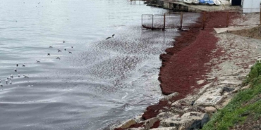 Poyraz sahili kırmızıya boyadı