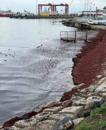 Poyraz sahili kırmızıya boyadı