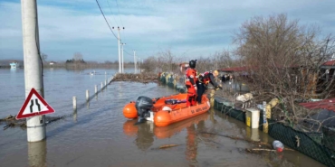 Taşkında mahsur kalan hayvanlar kurtarılmaya devam ediyor