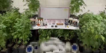 Jandarmadan uyuşturucu operasyonu: Evde üretim düzeneği kurmuş