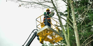 Esenyurt’ta bahar hazırlıkları başladı: Ağaçlar budanıyor