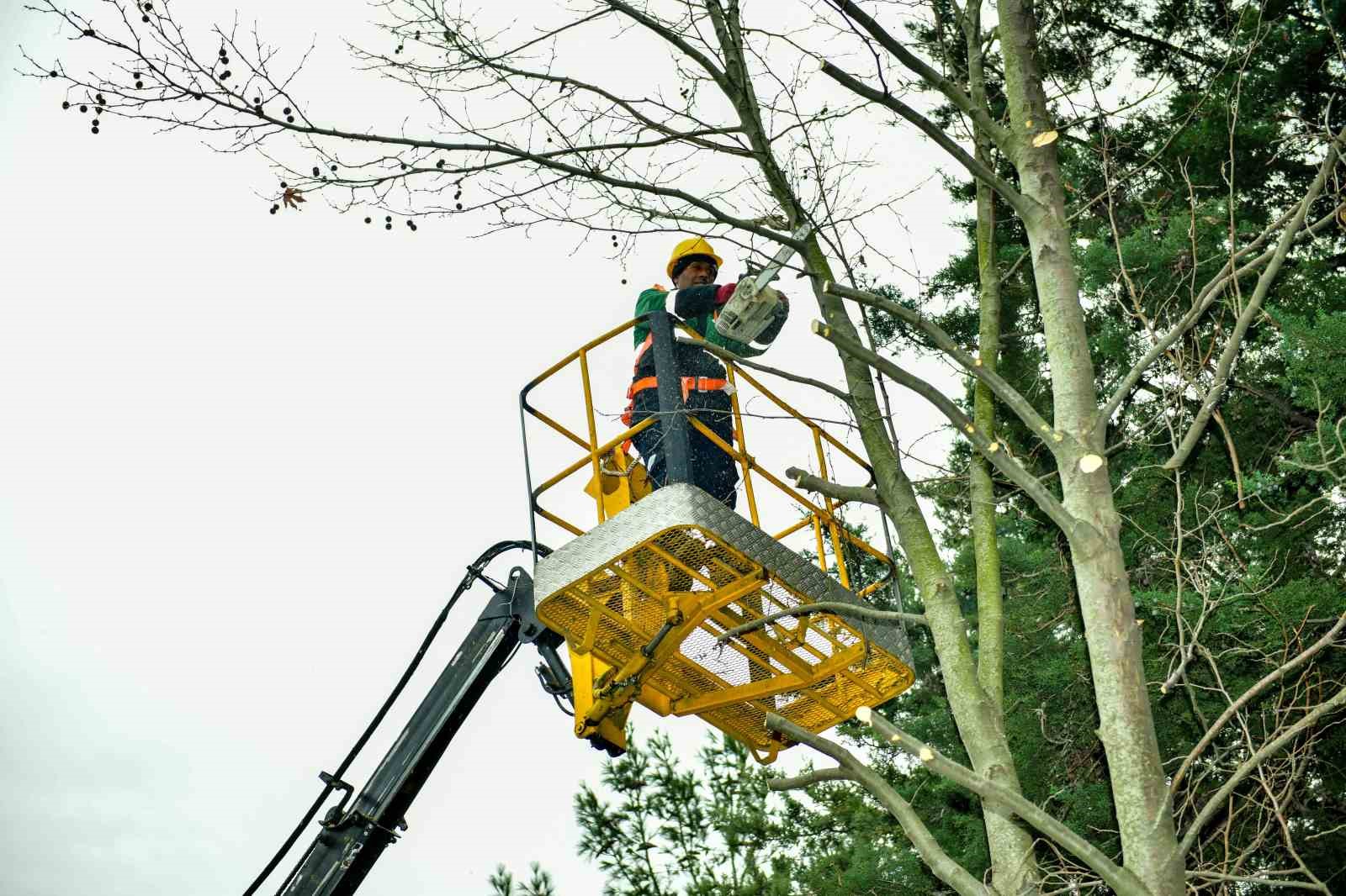 Esenyurt’ta bahar hazırlıkları başladı: Ağaçlar budanıyor