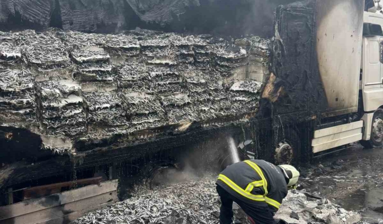 Hamsi yüklü tır alevlere teslim oldu: Dorse kullanılamaz hale geldi