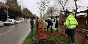 Sakarya’da 3 ayda 2 bin 500 ağaç dikildi