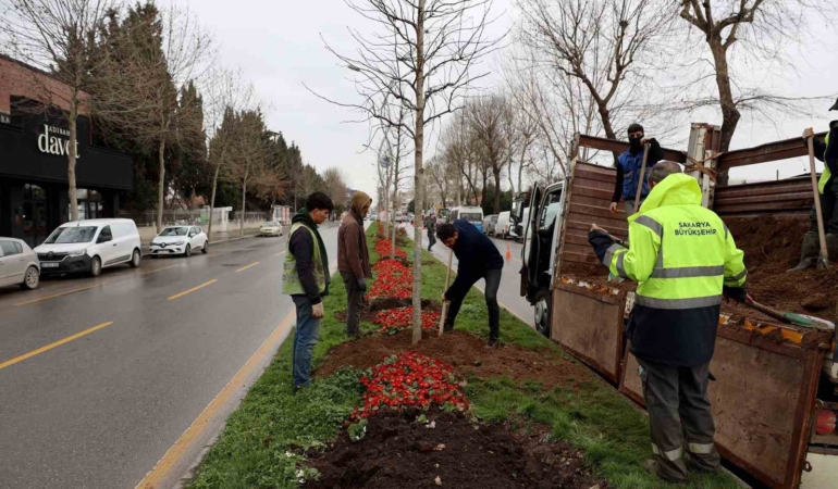 Sakarya’da 3 ayda 2 bin 500 ağaç dikildi