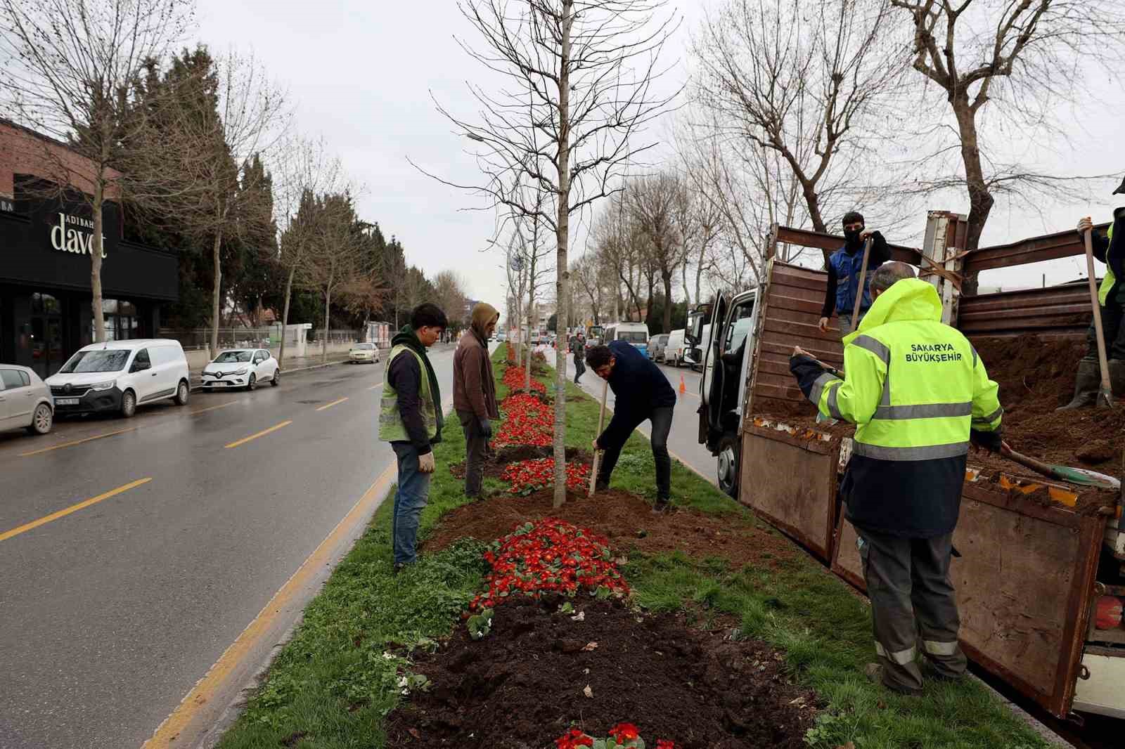 Sakarya’da 3 ayda 2 bin 500 ağaç dikildi