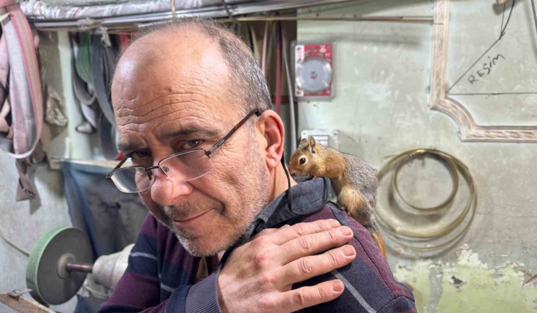 Ormanda bulduğu sincap en yakın dostu oldu