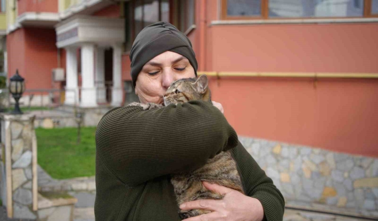 20 yıldır sokak kedilerine annelik yapıyor: "Sadece sevgi istiyorlar"