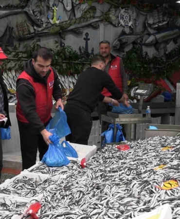 Edirne’de hamsinin kilosu 50 liraya düştü, tezgahlar şenlendi