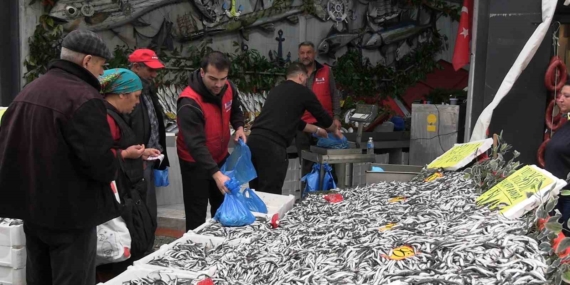 Edirne’de hamsinin kilosu 50 liraya düştü, tezgahlar şenlendi