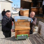 Kırsal üretime kovan desteği