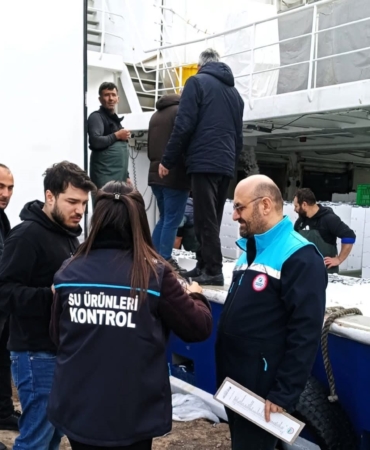 Kırklareli’de hamsi sevkiyatlarına denetim