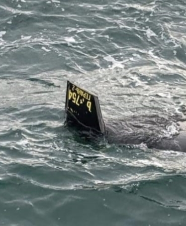 Arnavutköy Karaburun açıklarında balıkçılar denizde insansız hava aracı olduğu düşünülen bir cisim bulundu. Balıkçıların ihbarı üzerine bölgeye sahil güvenlik ekipleri sevk edildi. Ekiplerin incelemesi devam ediyor.