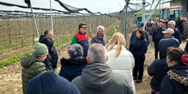 Lüleburgaz’da üreticilere uygulamalı budama eğitimi