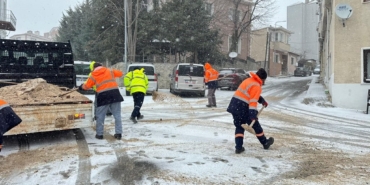 Kırklareli’nde solüsyonla ilaçlama ve tuzlama çalışmaları