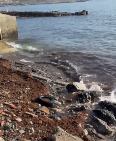 Marmara’daki fırtına Tekirdağ kıyılarını kızıl yosunla sürükledi