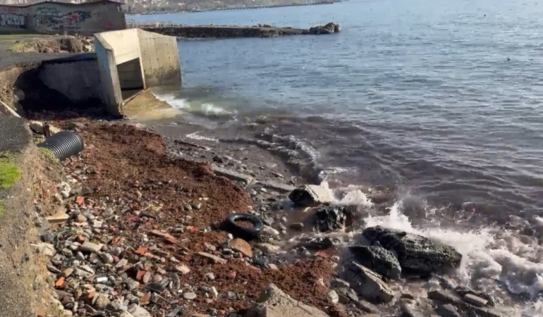 Marmara’daki fırtına Tekirdağ kıyılarını kızıl yosunla sürükledi