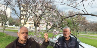 Balıkesir’de bademler çiçek açtı